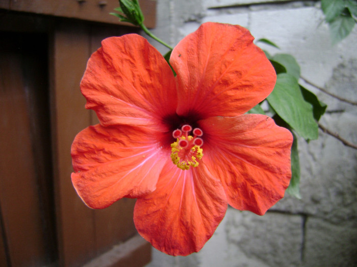 DSC08874