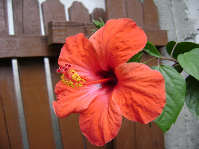 DSC08876