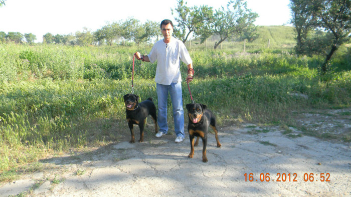 DSCN3030 - rottweileri - 9 luni