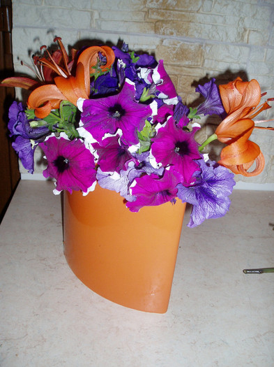 P1010074 - Mai - Iunie