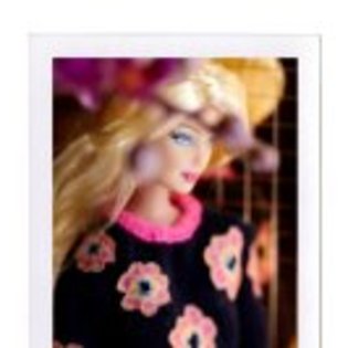 418455_10150802054954466_2027385534_n - Barbie
