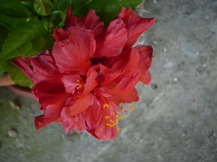 P1140720