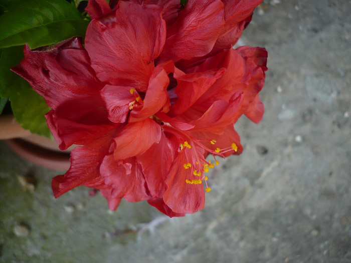 P1140721