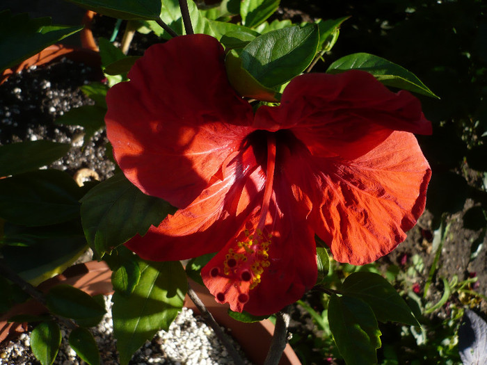 P1140724