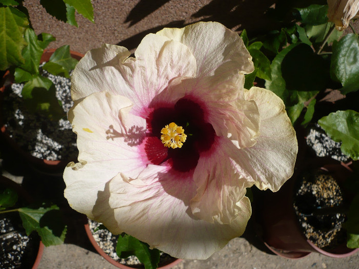 P1140763