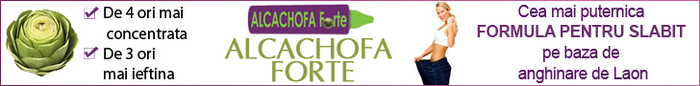 alcachofa-728x90