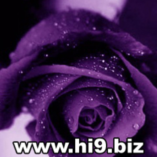 poze%20pt%20avatar%20smechere - poze pt messenger