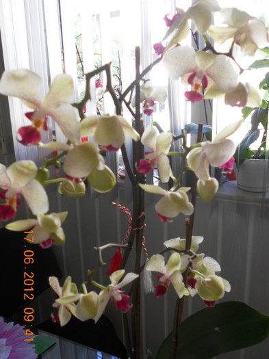 DSCN1444