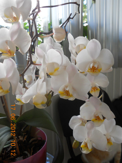 DSCN1450