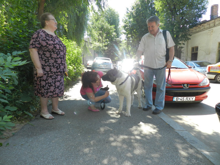 ITI TREBUIE O PROTEZA DENTARA:))))