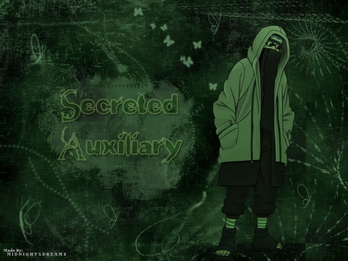  - Shino Aburame