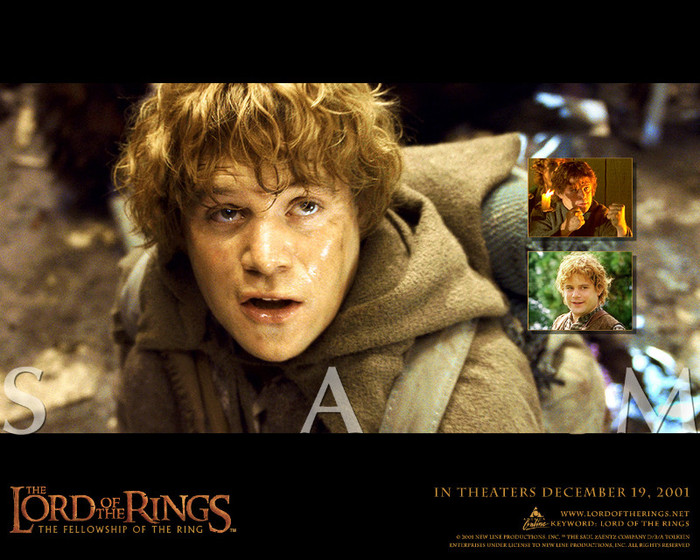 _The_Fellowship_of_the_Ring_Wallpaper_2_1280 - Lord of the rings