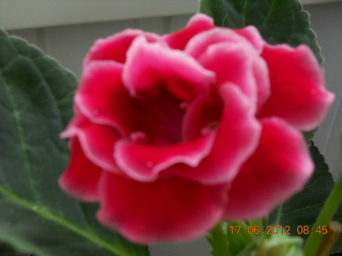 16.06.2012 005