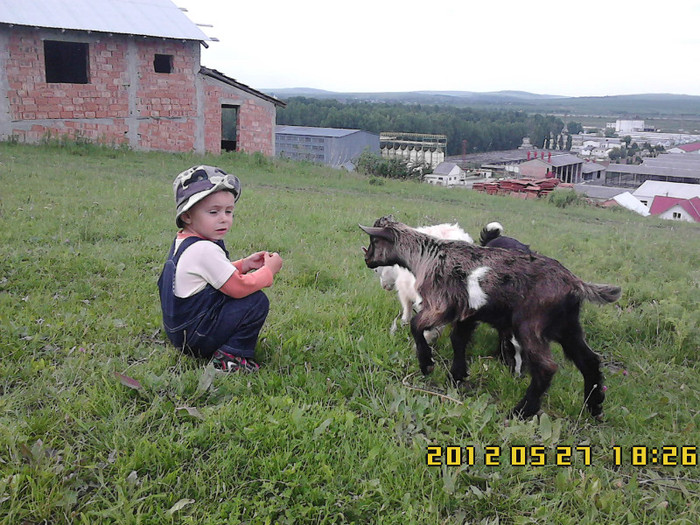 la "plimbare" pe dealuri - si am devenit noi 4 - deocamdata