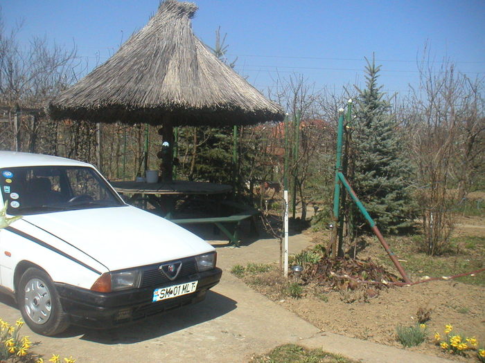 012 - 2 -gradina mea de vis