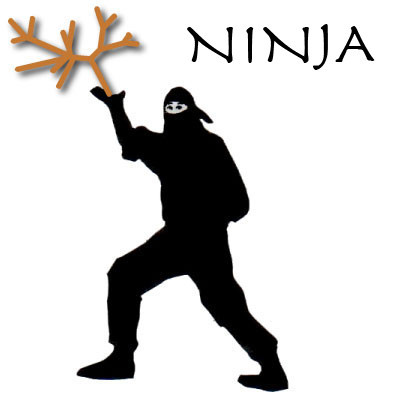ninja_logo - Ninja