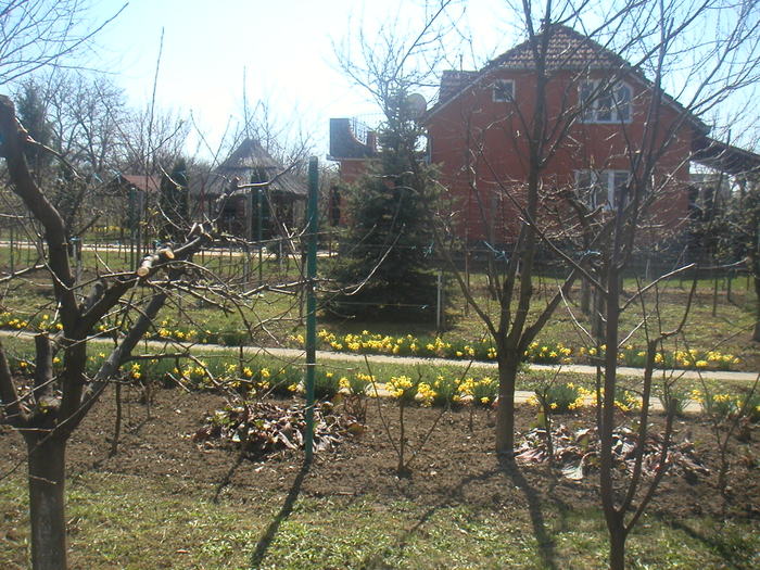 022 - 2 -gradina mea de vis