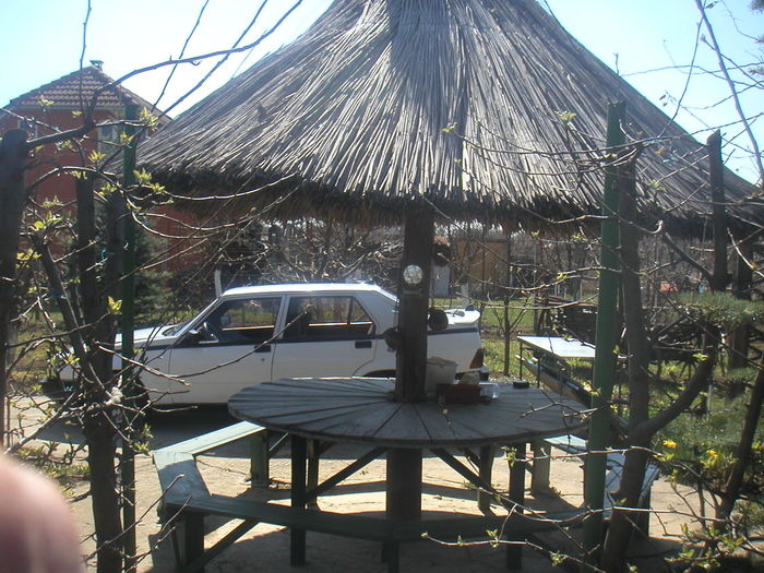 024 - 2 -gradina mea de vis