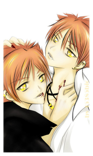 Hitachiin Twins [ 2 sunt mai buni decat unul ,nu?[ - a- I Like Anime Boys -a