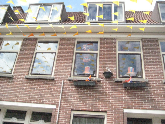 Olanda ingenunchiata 235 - Olanda cea portocalie ingenunchiata la Euro 2012