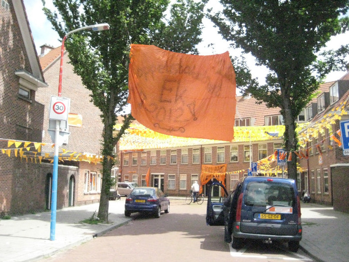 Olanda ingenunchiata 237 - Olanda cea portocalie ingenunchiata la Euro 2012