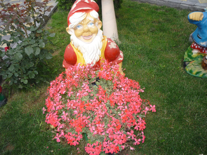 Picture 065 - A foto 2012