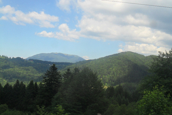 SAM_0901 - Banchet Rasnov