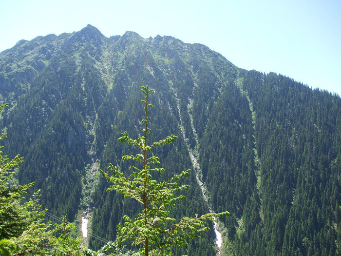 DSCF1169 - Transfagarasan 2012