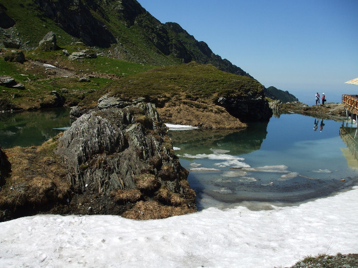 DSCF1200 - Transfagarasan 2012