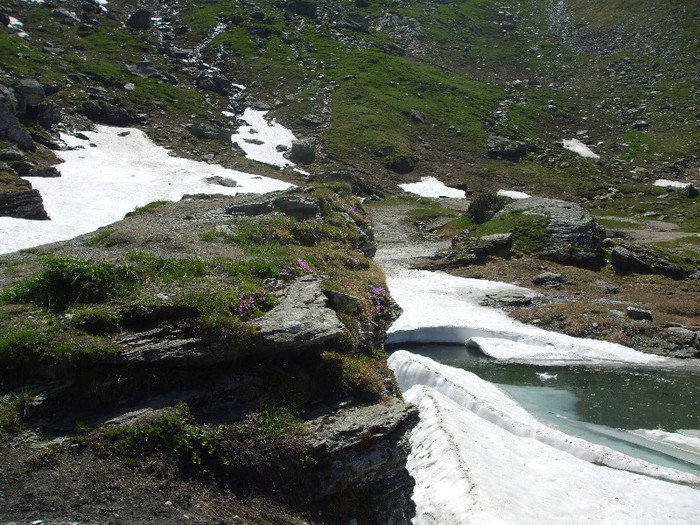 DSCF1202 - Transfagarasan 2012