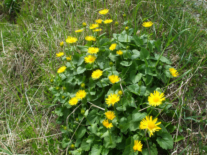 DSCF1258