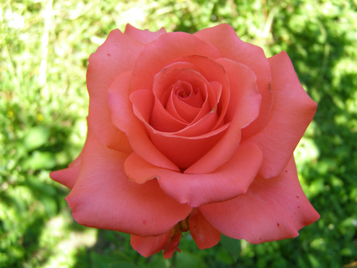 P5067364
