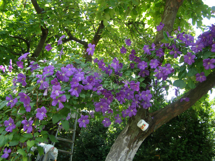 P5067346