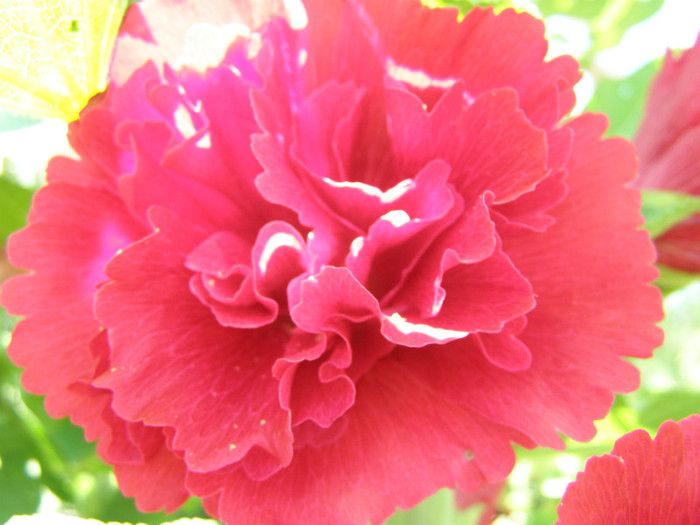 P5067354