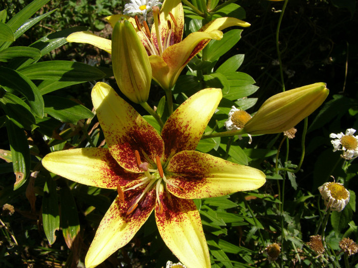 P5067361