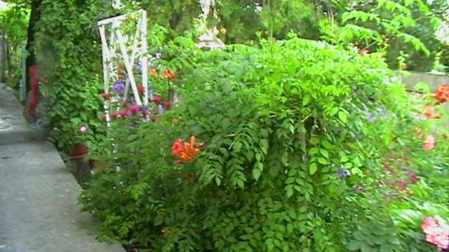 IMGA0038 - Vara 2012