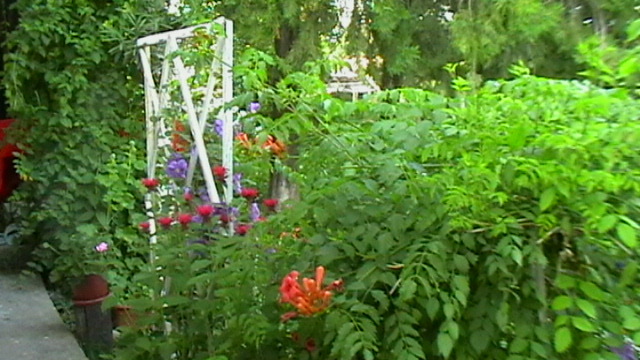 IMGA0039