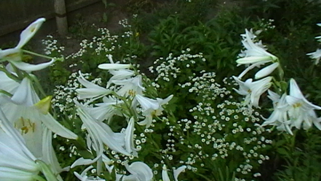 IMGA0057