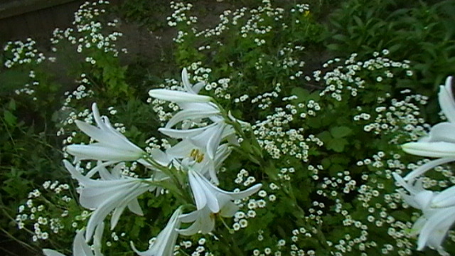 IMGA0058