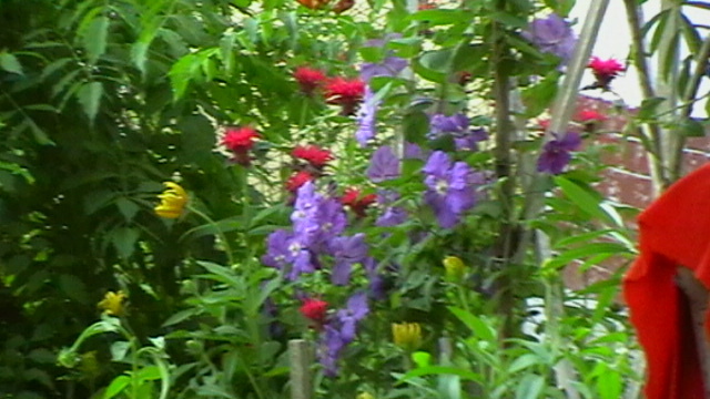 IMGA0060