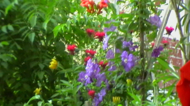 IMGA0061