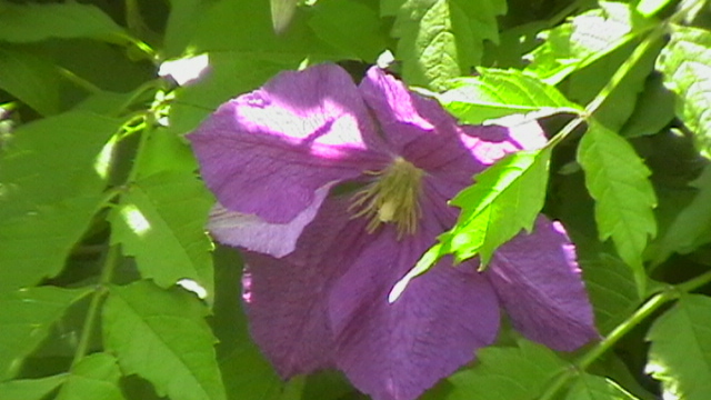 IMGA0943