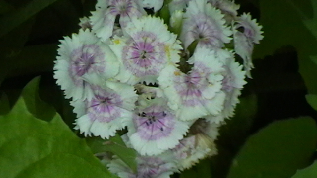 IMGA0946