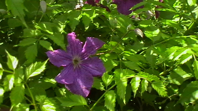 IMGA0953