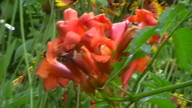 IMGA0984