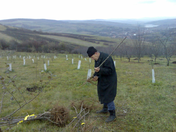 plantat pomi noi.07.2 - livada iarna