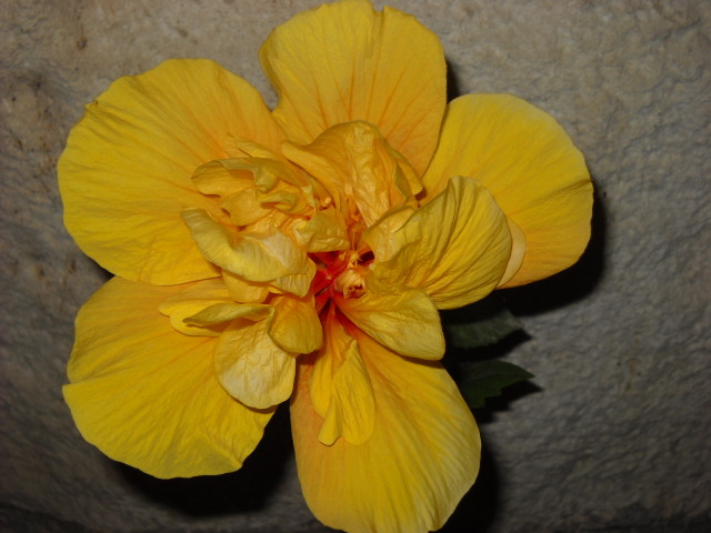 17.06.2012 seara! pierdut