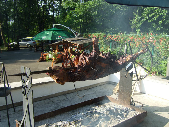 DSCF6882 - Monica si Cristi Oniga