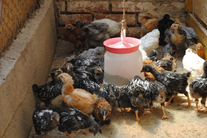 DSC_0240 - 2 - CRESA