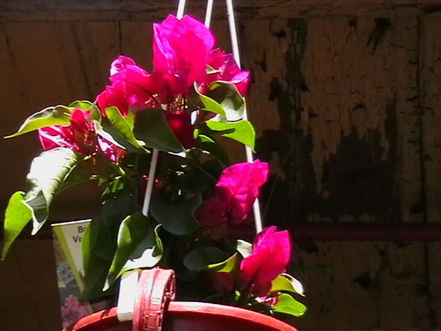 Picture 015